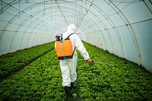 Best Best Pest Control Companies  in Port Carbon, PA