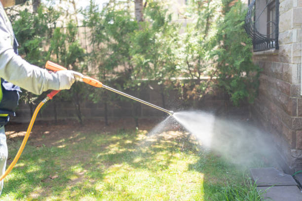 Pest Control for Restaurants in Port Carbon, PA