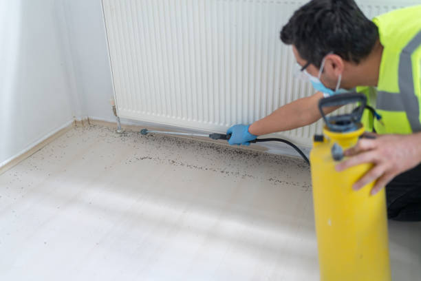 Best Insect Control  in Port Carbon, PA